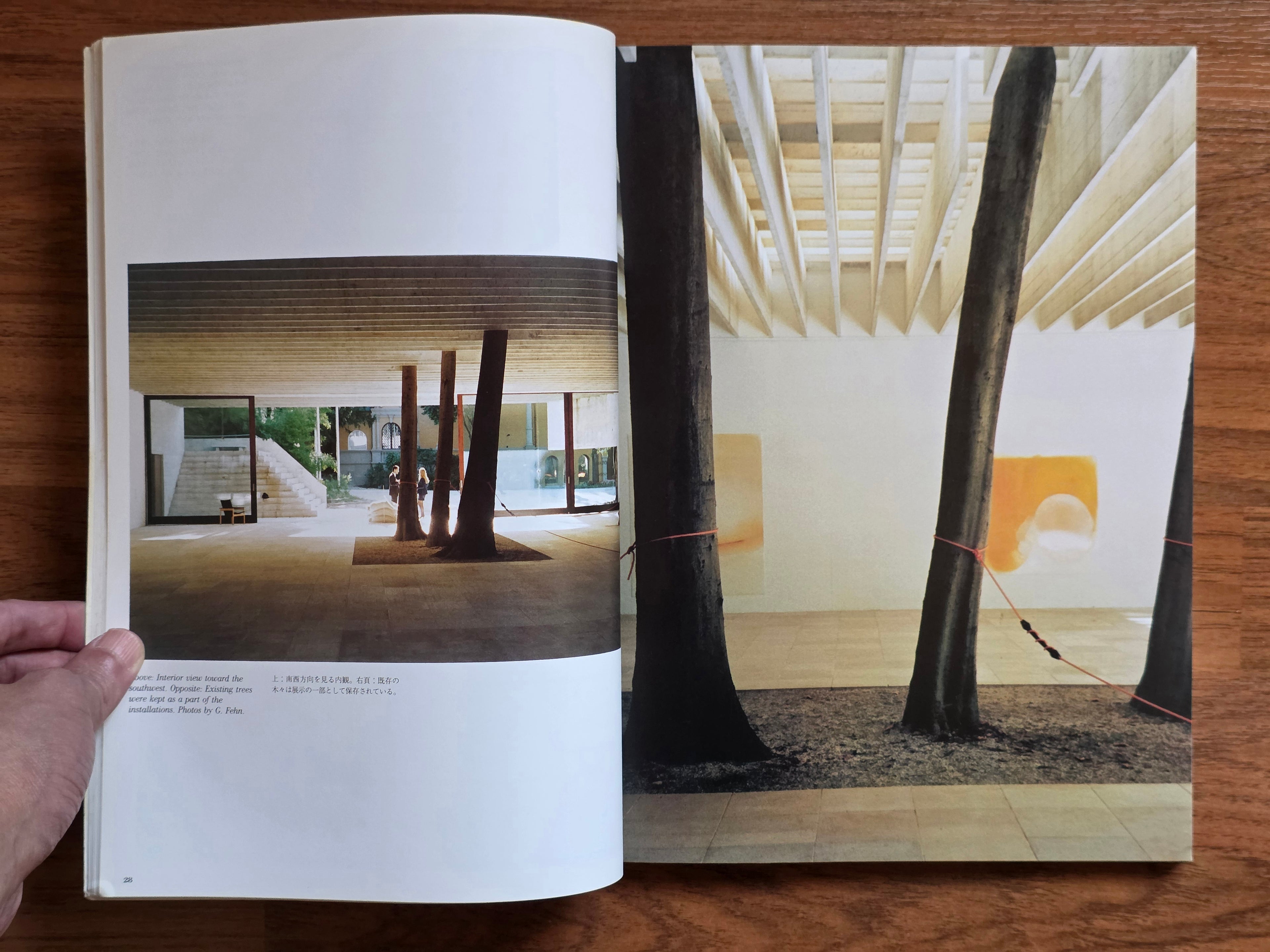 A+U 340  99:01
Sverre Fehn
Above and below the horizon